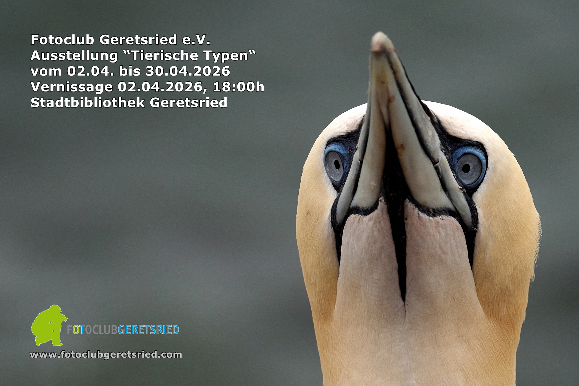 Ausstellung „Tierische Typen“