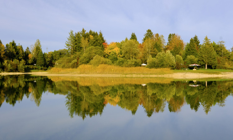 Herbst am Bibisee Herbst am Bibisee