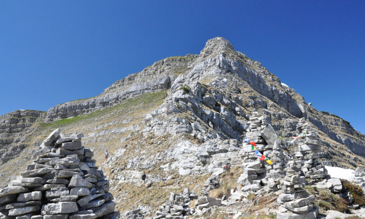 Scharfreuther Scharfreuther