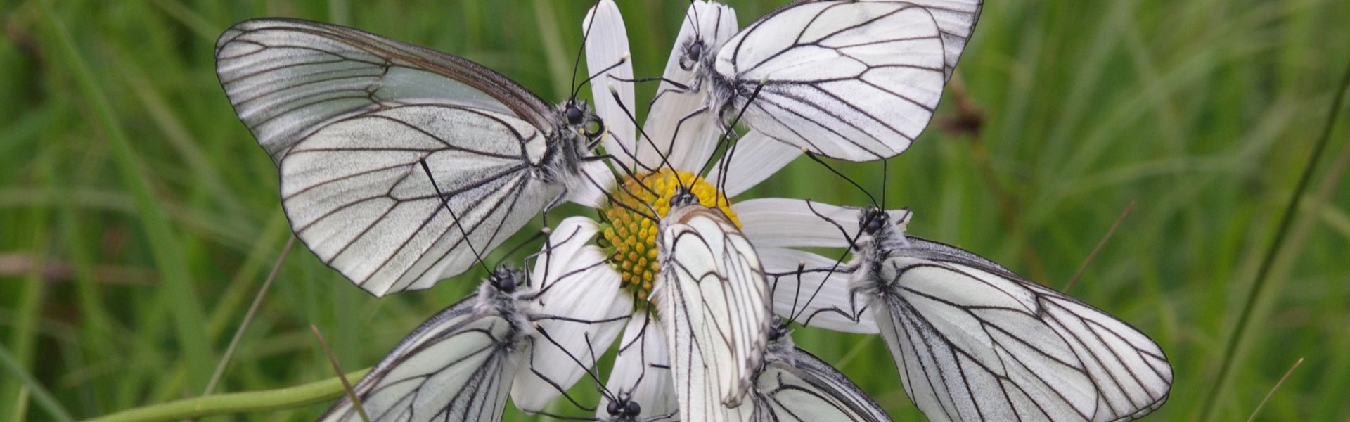 Babenstuben Nordwesten