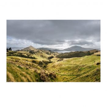 Otago Halbinsel